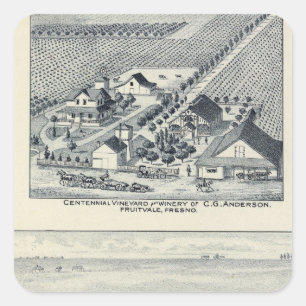 Pegatina Cuadrada Deardorff y viñedos centenarios, California