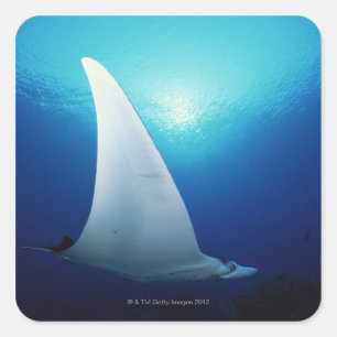 Pegatina Cuadrada Debajo de un rayo de manta