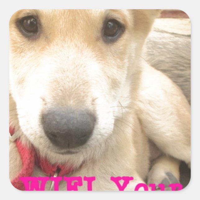 Pegatina Cuadrada Deberías Despertar Tu Amor A Diario (Anverso)