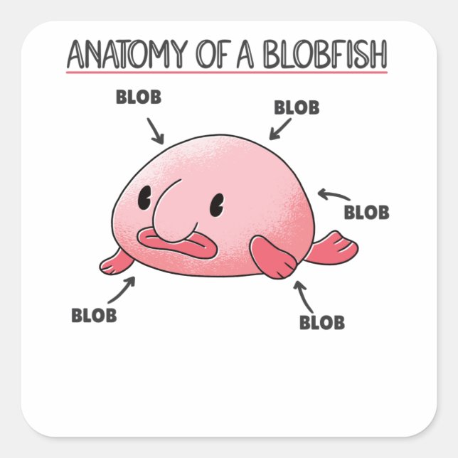 Pegatina Cuadrada Declaración De Blobfish Anatomía De Blobfish (Anverso)