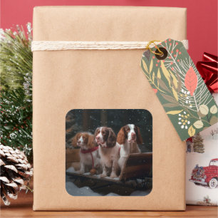 Pegatina Cuadrada Decoración de Navidad de Brittany Spaniel con Trin