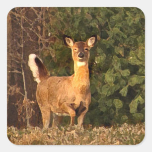 Pegatina Cuadrada Deer al amanecer