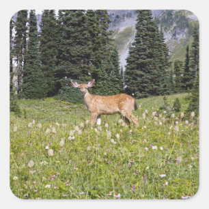 Pegatina Cuadrada Deer en el Parque del Paraíso
