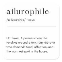 Definición de Ailurophile - Gato Lover