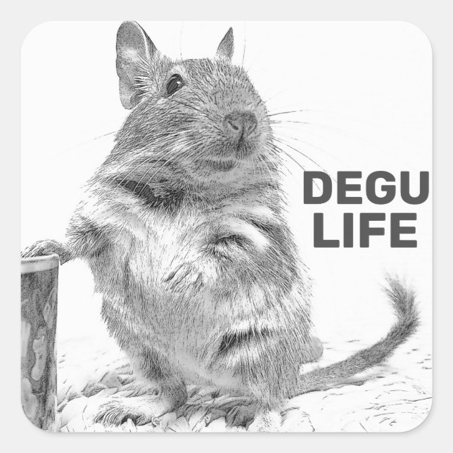 PEGATINA CUADRADA DEGU LIFE (Anverso)