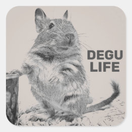 PEGATINA CUADRADA DEGU LIFE