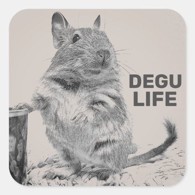 PEGATINA CUADRADA DEGU LIFE (Anverso)