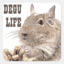 Pegatina Cuadrada ► DEGU ► Rodents
