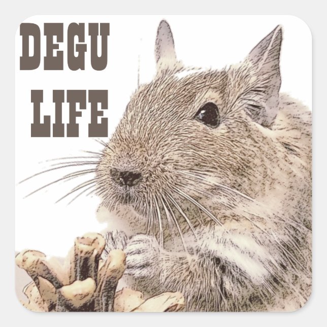 Pegatina Cuadrada ► DEGU ►   Rodents (Anverso)