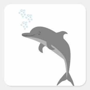 Pegatina Cuadrada Delfín
