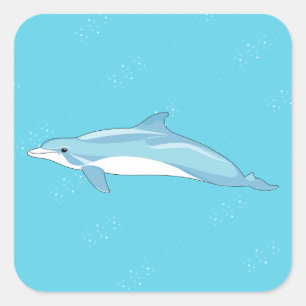 Pegatina Cuadrada Delfín azul dulce en la playa