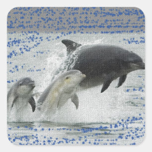 Pegatina Cuadrada Delfines