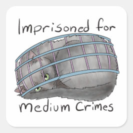 Pegatina Cuadrada Delitos medianos