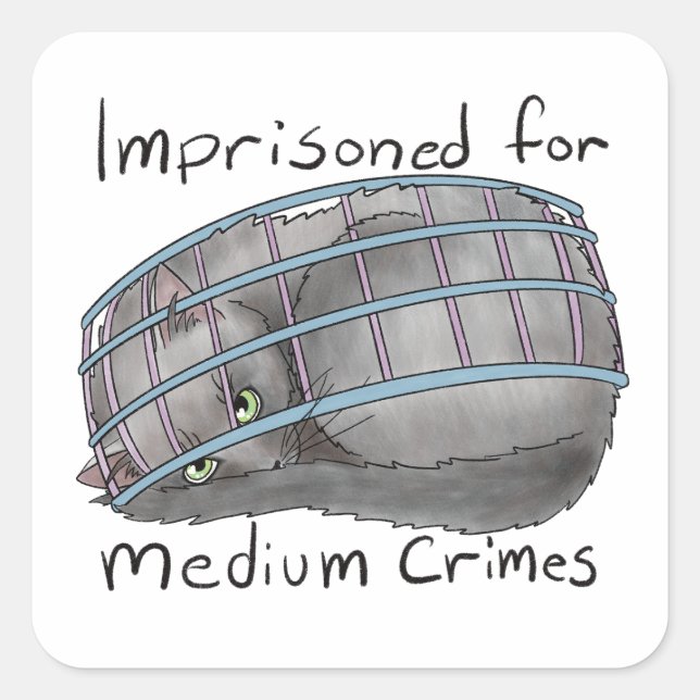 Pegatina Cuadrada Delitos medianos (Anverso)
