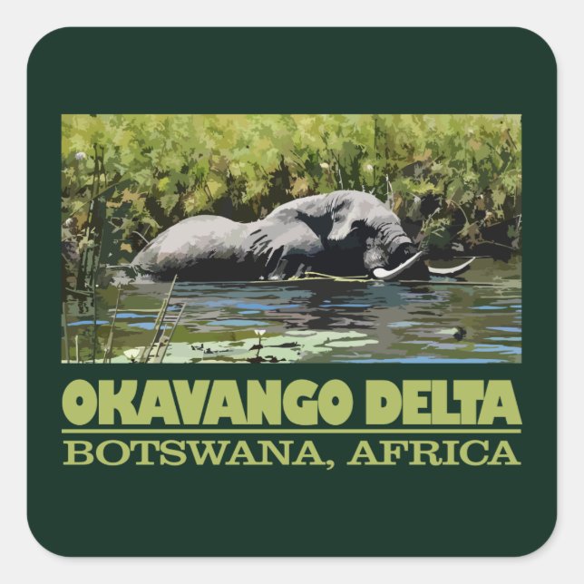 Pegatina Cuadrada Delta del Okavango (Anverso)