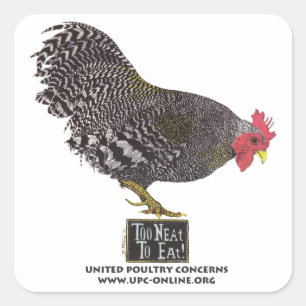 Pegatina Cuadrada ¡Demasiado aseado comer! - Gallo