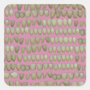 PEGATINA CUADRADA DENTISTRY DENTISTRY ORTHODONTICS ROTTEN DIETE BOCA