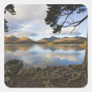 Pegatina Cuadrada Derwentwater, Distrito de los Lagos, Cumbria, Ingl