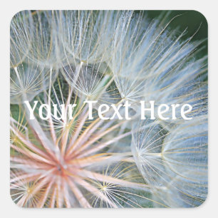 Pegatina Cuadrada Deseos nuevos caídos