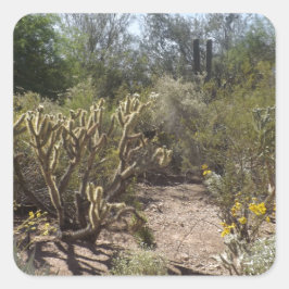 Pegatina Cuadrada Desierto