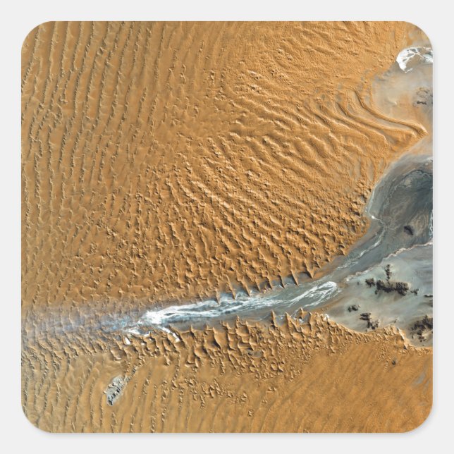 Pegatina Cuadrada Desierto de Namibia, Namibia (Anverso)