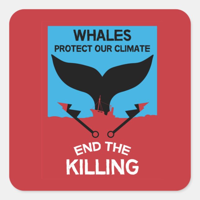 Pegatina Cuadrada Detener la caza de ballenas | Prohibición de la pr (Anverso)