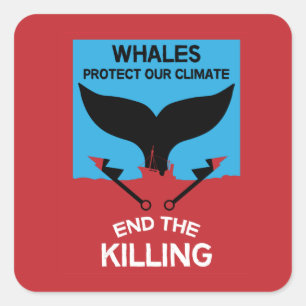 Pegatina Cuadrada Detener la caza de ballenas Prohibición de la pr
