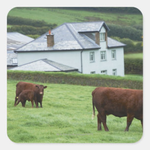 Pegatina Cuadrada Devon, Inglaterra