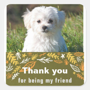 Pegatina Cuadrada Día de la amistad