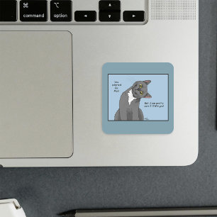 Pegatina Cuadrada Día de la madre, adopción de Mamá de gato