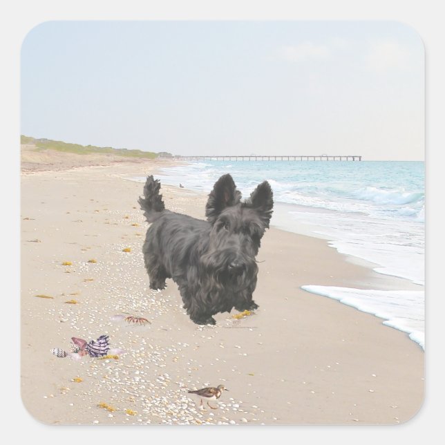 Pegatina Cuadrada Día de la playa (Anverso)