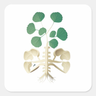 Pegatina Cuadrada Día de San Patricio
