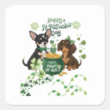 Día de San Patricio "Pata de oro"