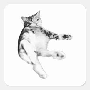 Pegatina Cuadrada Diagonal Lounger