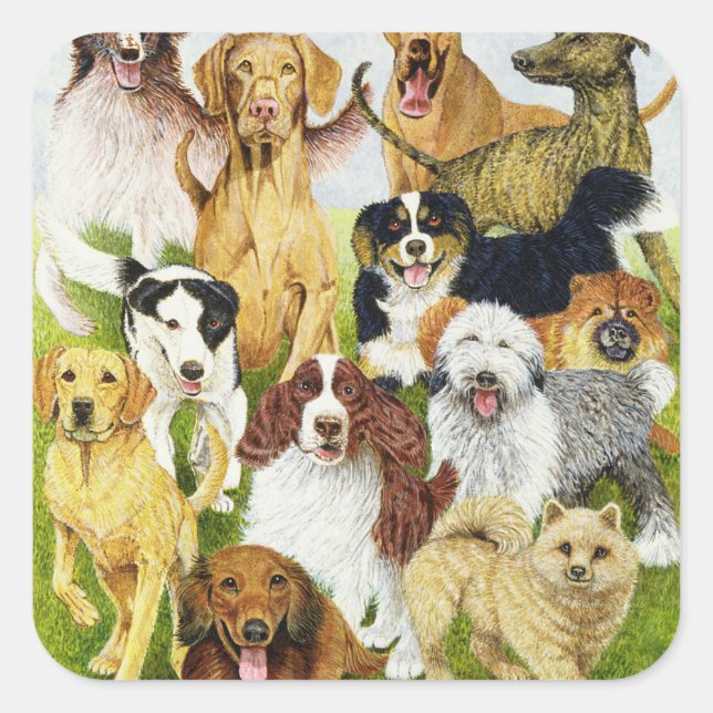 Pegatina Cuadrada Días de perros (Anverso)