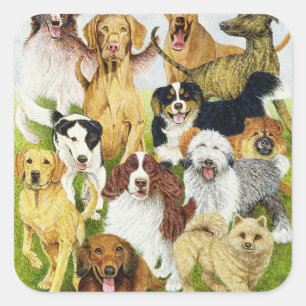 Pegatina Cuadrada Días de perros