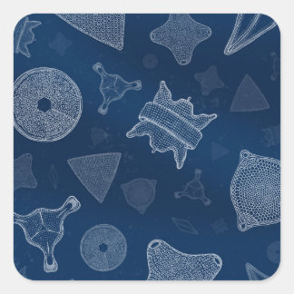 Pegatina Cuadrada Diátomos - vida marina microscópica