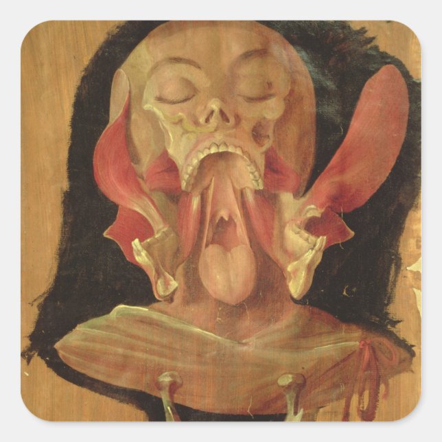 Pegatina Cuadrada Dibujo anatómico de la cabeza (Anverso)