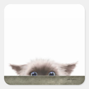 Pegatina Cuadrada Dibujo animado de gatito siamés acechándote