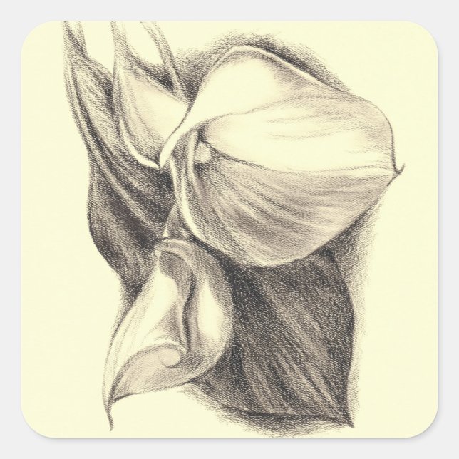 Pegatina Cuadrada Dibujo de Calla Lilies (Anverso)