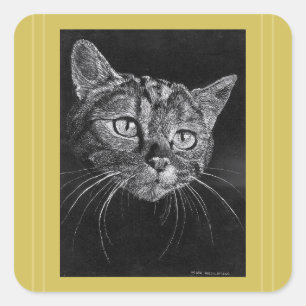 Pegatina Cuadrada Dibujo de cara de gato de Mark Edward Westerfield