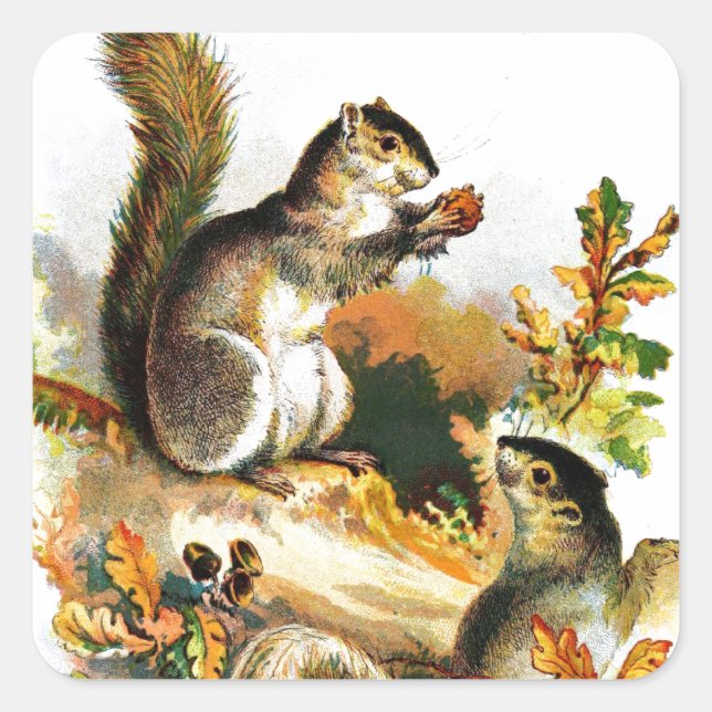 Pegatina Cuadrada Dibujo de época: ardillas en otoño (Anverso)
