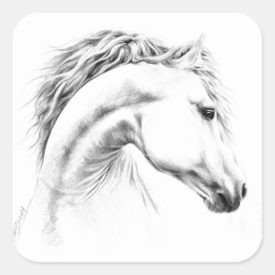 Pegatina Cuadrada Dibujo de lápiz de retrato de caballo Arte ecuestr