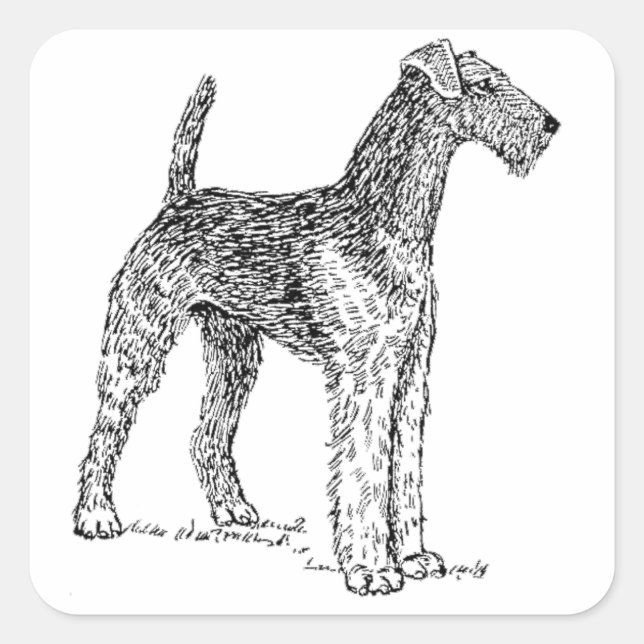 Pegatina Cuadrada Dibujo de Perro Elegante de Airedale Terrier (Anverso)