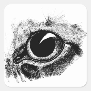 Pegatina Cuadrada Dibujo de pintura de animales de la época de la vi