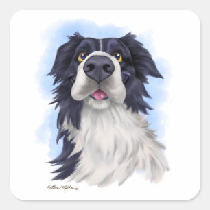 Pegatina Cuadrada Dibujo divertido de un Border Collie 