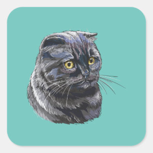 Pegatina Cuadrada Dibujo manual divertido y esponjoso gato británico