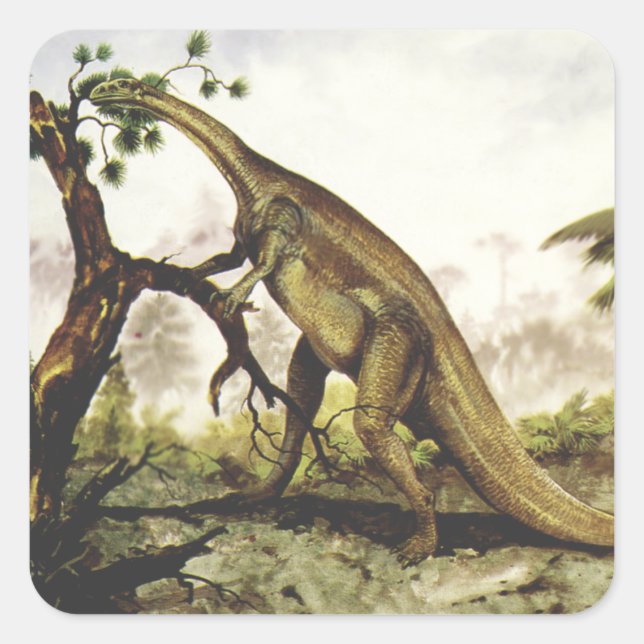 Pegatina Cuadrada Dinosaurios de época, Plateosaurus Grazing on Tree (Anverso)