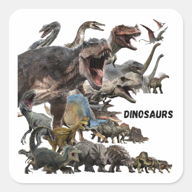 Pegatina Cuadrada Dinosaurs  (Anverso)