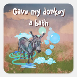 Pegatina Cuadrada dio a mi burro un baño